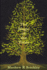 The Magic of the Trees
