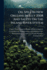 Oil Spill in New Orleans in July 2008 and Safety on the Inland River System