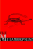 The Metamorphosis