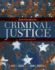 Introduction to Criminal Justice (Mindtap Course List)
