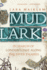 Mudlark: in Search of London's Past Along the River Thames