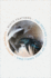 White Feathers: the Nesting Lives of Tree Swallows