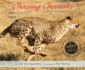 Chasing Cheetahs: the Race to Save Africa's Fastest Cat-a Stunning Book About Rescuing Endangered Animals for Children (Ages 10-12) (Scientists in the Field)
