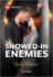 Snowed-in Enemies: a Fake Relationship F1 Contemporary Romance