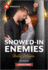 Snowed-in Enemies