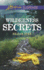 Wilderness Secrets (Love Inspired Suspense)