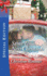 Same Time, Next Christmas (the Bravos of Valentine Bay, 3)