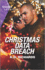 Christmas Data Breach (West Investigations, 3)
