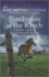 Retribution at the Ranch (Love Inspired Suspense)