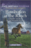 Retribution at the Ranch (Love Inspired Suspense)