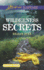 Wilderness Secrets (Love Inspired Suspense)