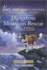 Dangerous Mountain Rescue (K-9 Search and Rescue, 6)