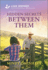 Hidden Secrets Between Them: an Uplifting Inspirational Romance (Hope Crossing, 5)