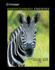 Understandable Statistics, Concepts and Methods, 12th Edition, Student Textbook, C. 2018