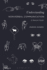 Understanding Nonverbal Communication: a Semiotic Guide