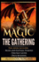 Magic the Gathering: Rules and Getting Started, Strategy Guide, Deck Building for Beginners (Mtg, Deck Building, Strategy)