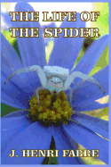The Life of the Spider