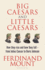 Big Caesars and Little Caesars: How They Rise and How They Fall-From Julius Caesar to Boris Johnson