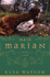 Maid Marian: a Novel