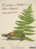 Timothy; Or, Notes of an Abject Reptile