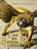 Law of the Broken Earth (Griffin Mage)
