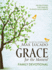Grace for the Moment Family Devotional, Hardcover: 100 Devotions for Families to Enjoy God's Grace (a 100-Day Devotional)-the Perfect Christian New Year's Resolution Gift