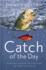 Catch of the Day: Spiritual Lessons for Life From the Sport of Fishing (a 365-Day Devotional)-the Perfect Gift for Christian Men and Women Who Love to Fish