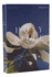 Nrsv Catholic Edition Bible, Magnolia Paperback (Global Cover Series): Holy Bible
