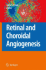 Retinal and Choroidal Angiogenesis