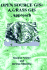 Open Source Gis
