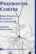 Prefrontal Cortex