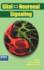 Glial � Neuronal Signaling
