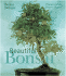Beautiful Bonsai
