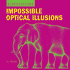 Supervisions: Impossible Optical Illusions