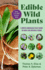 Edible Wild Plants: a North American Field Guide to Over 200 Natural Foods