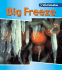 Big Freeze (Wild Weather)