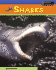Sharks (Sea Creatures)