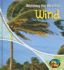 Watching the Weather: Wind (Heinemann First Library)