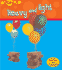 Heavy and Light (Heinemann Read & Learn)