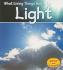 Light (What Living Things Need)
