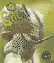 Snail (Heinemann First Library: Bug Books)