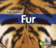 Fur (Body Coverings)
