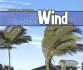 Wind (Weather Watchers)