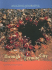 Through a Termite City (Amazing Journeys/2nd Edition)