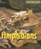 Amphibians (Animal Babies (Heinemann Library Paperback))