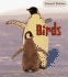 Birds (Animal Babies)