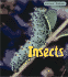 Insects (Animal Babies/2nd Edition)