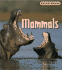 Mammals (Animal Young)