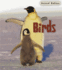 Birds (Animal Babies)