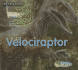 Velociraptor (Acorn)